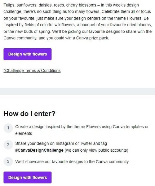 Canva Design Challenge