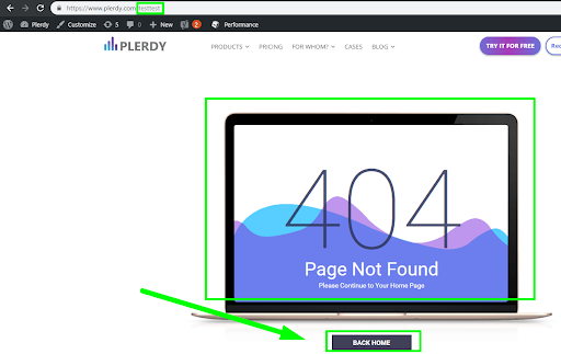 Have a customized 404 page