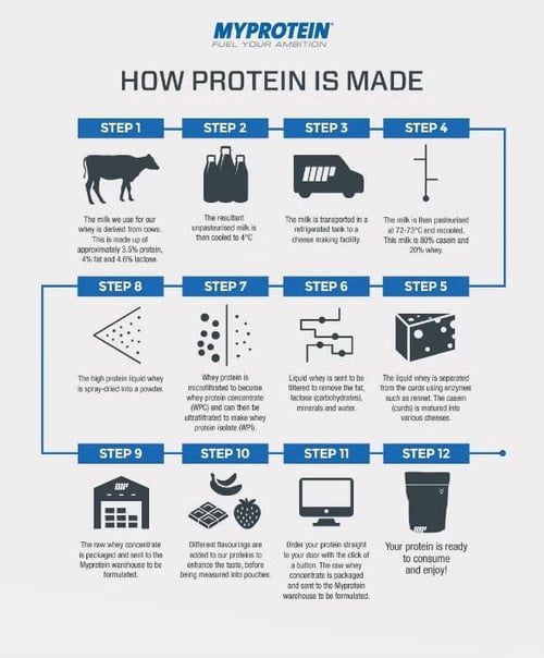 Myprotein infographic