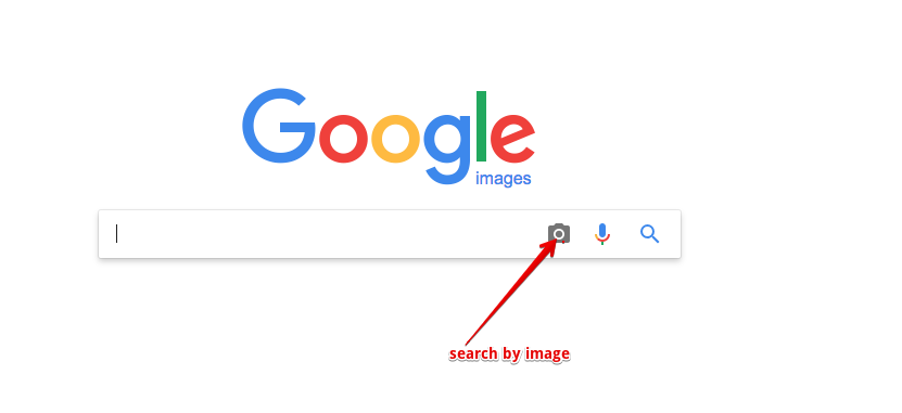 google search by image