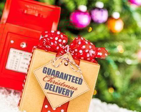livrare garantată de Crăciun