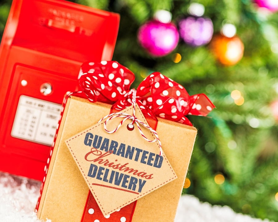 guaranteed christmas delivery