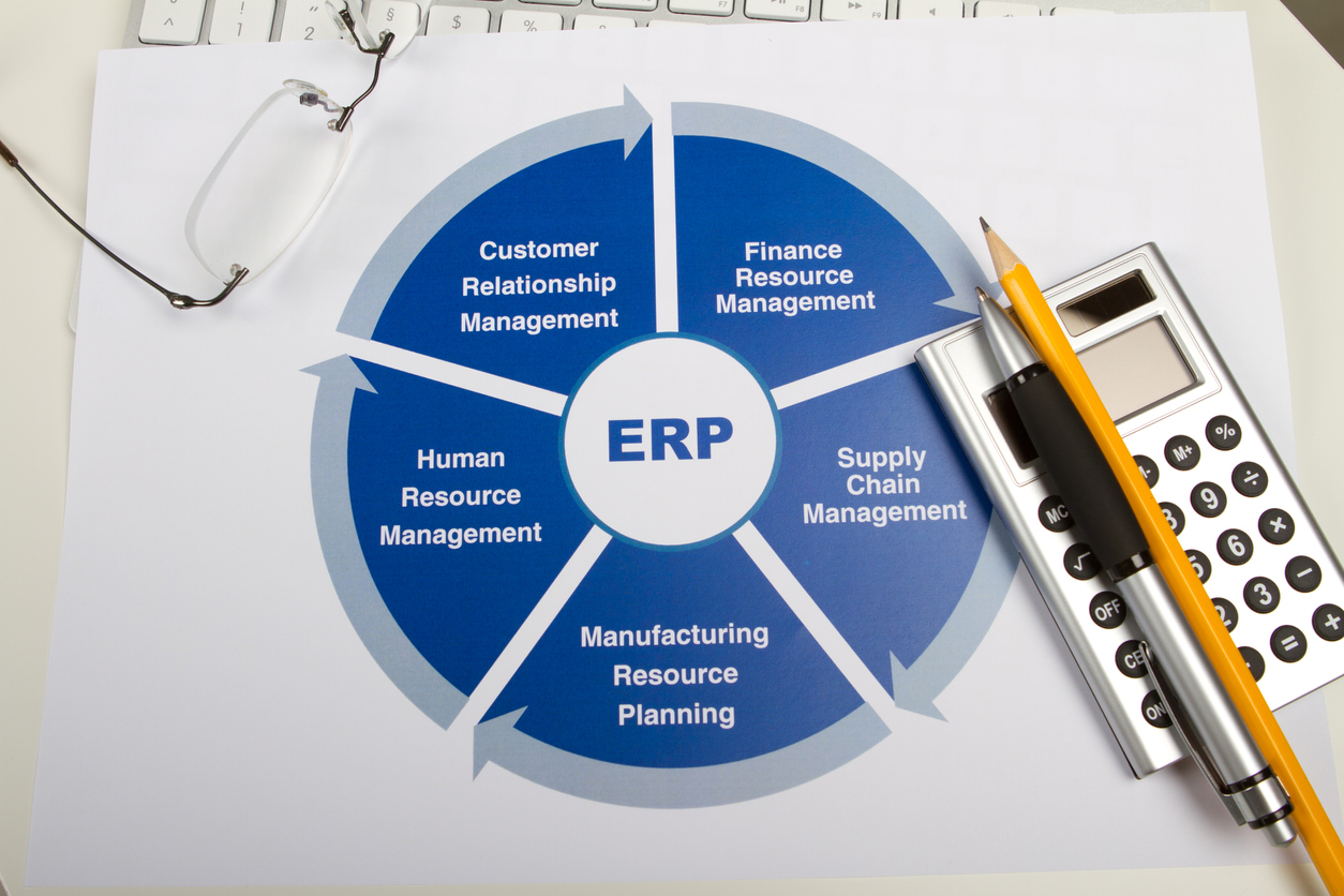 integrated business processes with erp systems