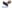 iStock-941717022