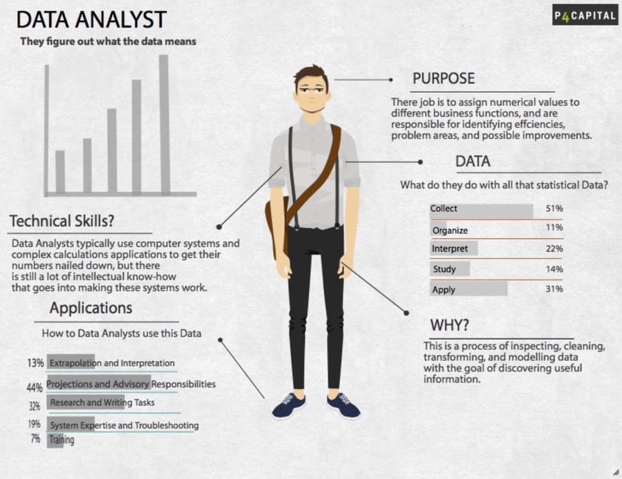 data analyst infographic